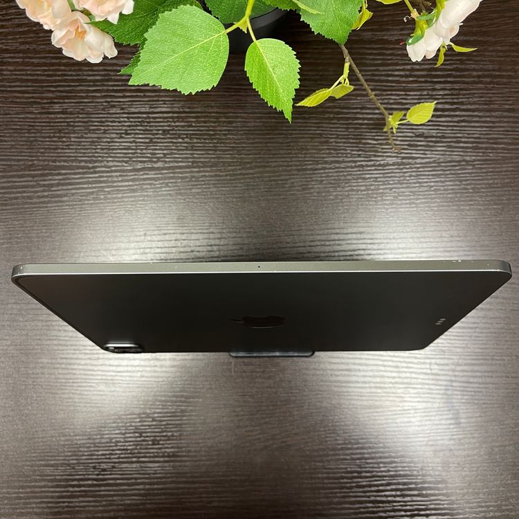 iPad Pro 113˥ڡ쥤 128GB Wi-Fi ǥ
