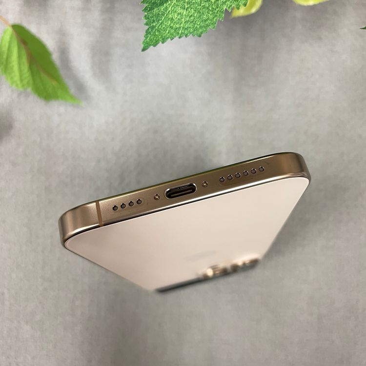 iPhone16ProMax 1TB ǥȹSIMե꡼̵