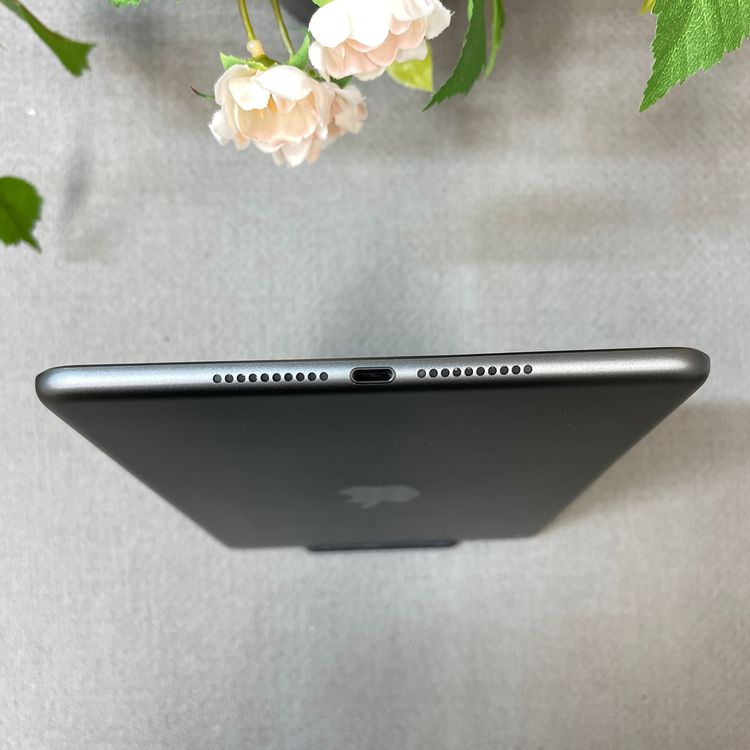 iPad mini 5 ���ڡ������쥤 64Gb Wi-Fi��ǥ� ����̵��