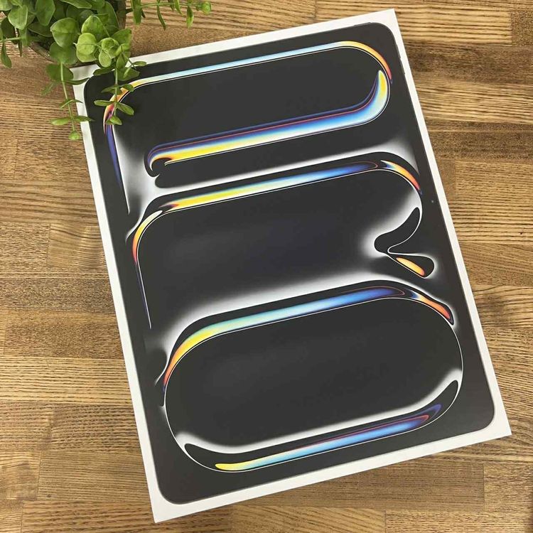 ʡ̤ iPad Pro M4å 13 ֥å WiFi ǥ̵