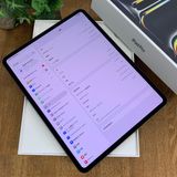 ����Ʊ�� iPad Pro M4 13����� 256GB WiFi + Cellular ����̵��