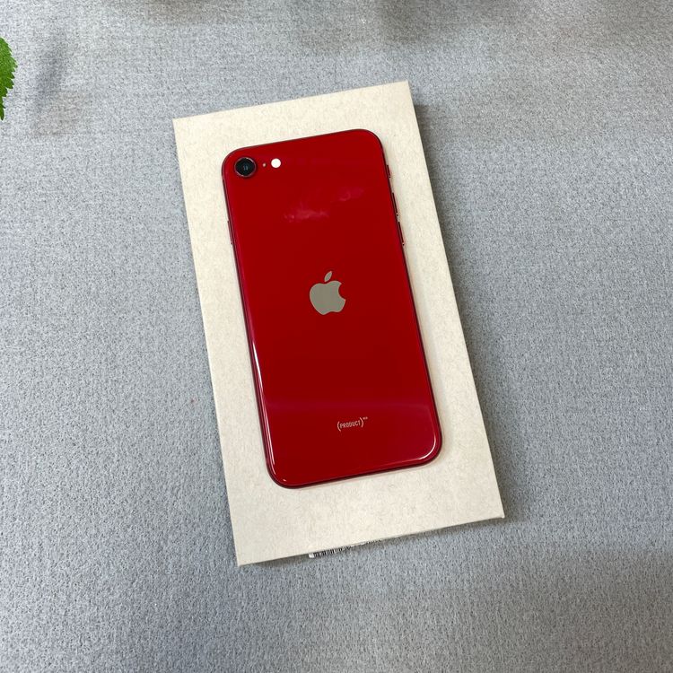 iPhone SE(�裳����) 128GB ��å� ����SIM�ե꡼ ����̵��