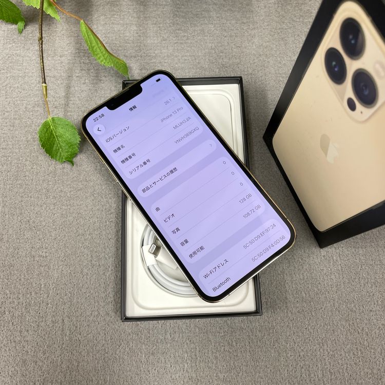 iPhone 13Pro 128GB ������� ����SIM�ե꡼ ����̵��