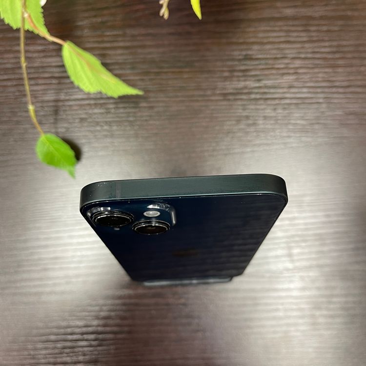 iPhone14 Plus 256GB ֥롼  SIMե꡼ ̵