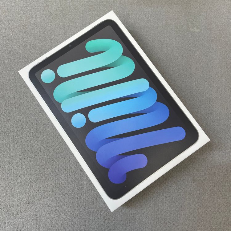 ���ʡ�̤���� iPad Mini A17Pro 128GB ���ڡ������졼 WiFi ��ǥ�����̵��