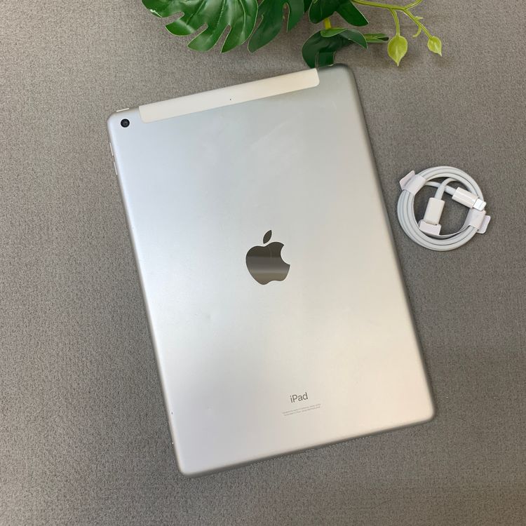 iPad(��8����) 128GB ����С� Wi-Fi + Cellular��ǥ�