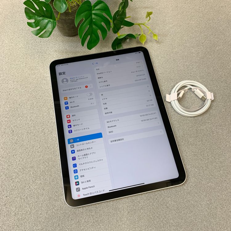 �Хåƥ꡼86%  iPad(��10����) 64GB ����С� Wi-Fi��ǥ�