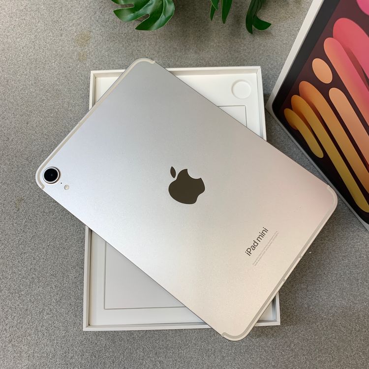 �Хåƥ꡼ 99��  iPad mini(A17 Pro) Wi-Fi + Cellular��ǥ�