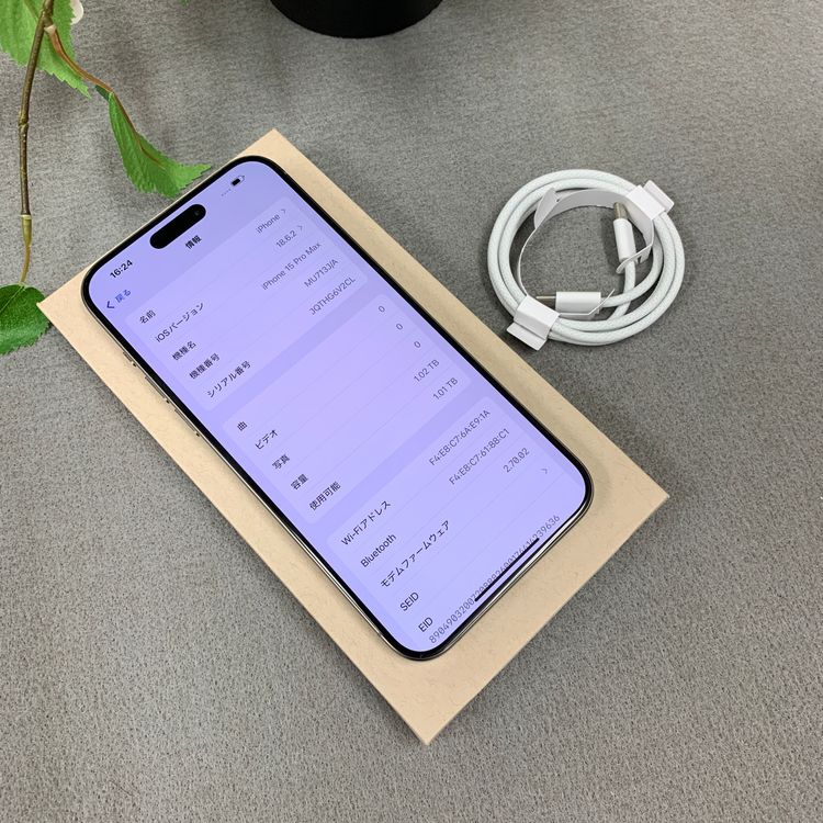 �Хåƥ꡼ 100% iPhone 15ProMax 1TB �ʥ����롡������SIM�ե꡼����̵��