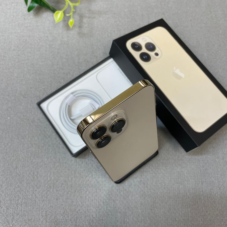 �Хåƥ꡼ 100% iPhone 13Pro 256GB ������� ����SIM�ե꡼ ����̵��