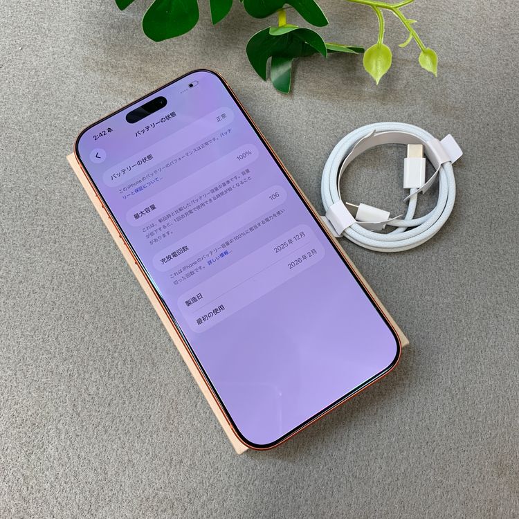 �ǥ奢��SIM�� �Хåƥ꡼100%��iPhone 17ProMax 256GB �����SIM�ե꡼