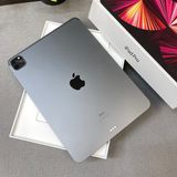 �Хåƥ꡼ 100% iPad Pro 11����� M1���å� 1TB WiFi�� ����̵��
