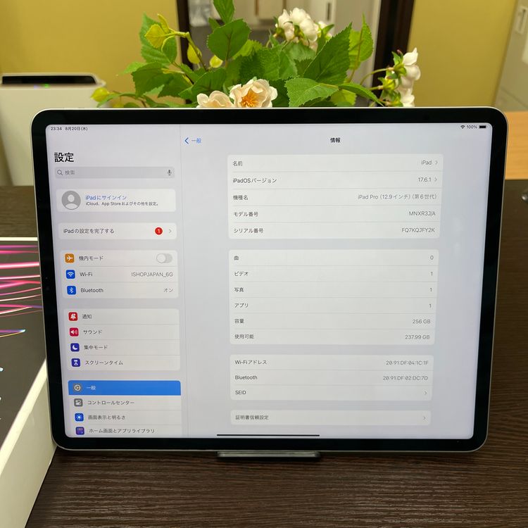 iPad Pro 12.96M2 å 256GB Wi-Fiǥ