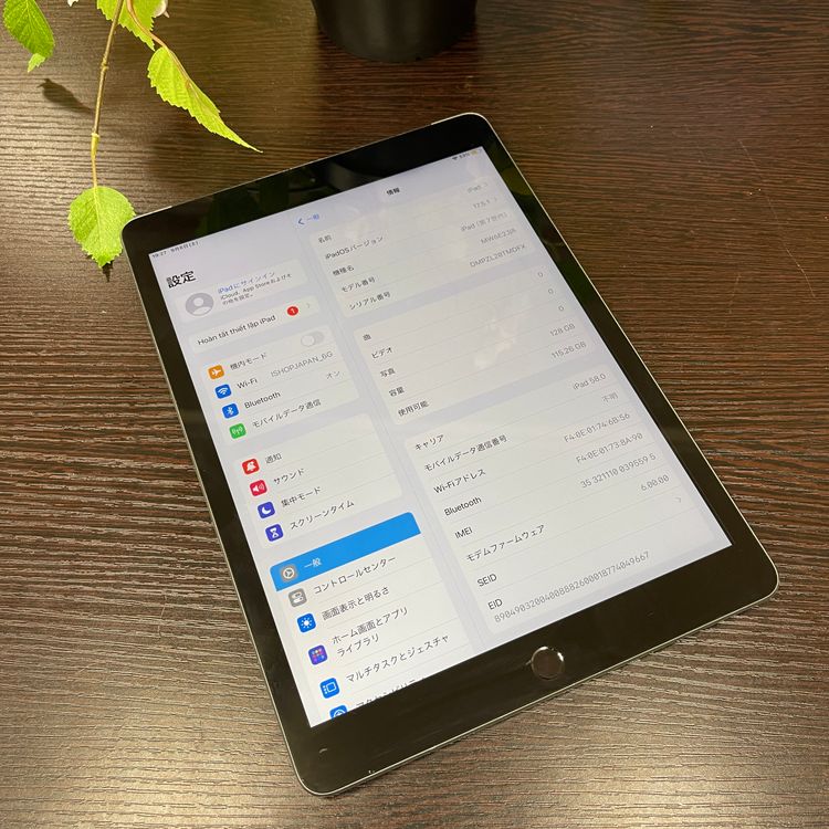 iPad 7 128GB Wifi + Cellular SIMե꡼̵