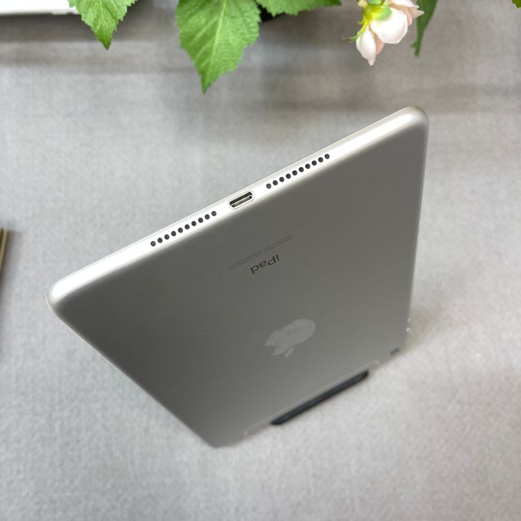 iPad Mini �裵���� 64GB ����С� WiFi + Cellular ����̵��