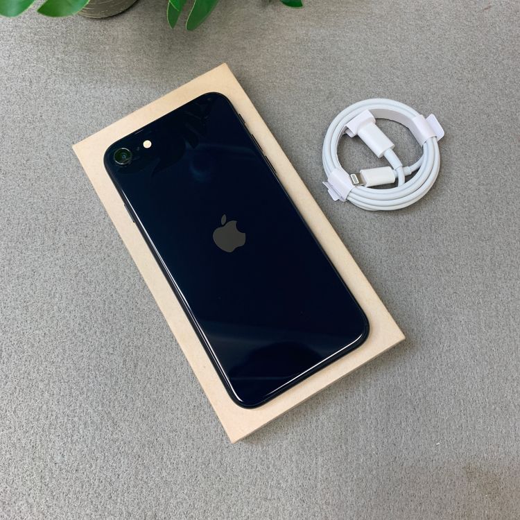 �Хåƥ꡼ 87% iPhone SE3 64GB �֥�å�  ������ SIM�ե꡼ ����̵��