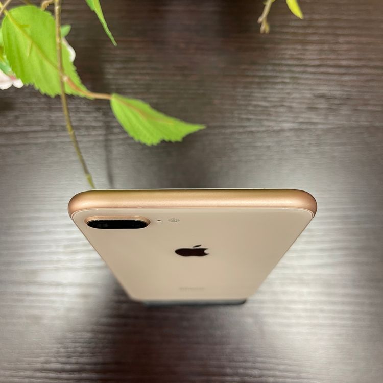 iPhone8 Plus 64GB  SIMե꡼ ̵