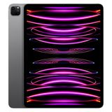 iPad Pro 12.96M2 å 256GB Wi-Fiǥ