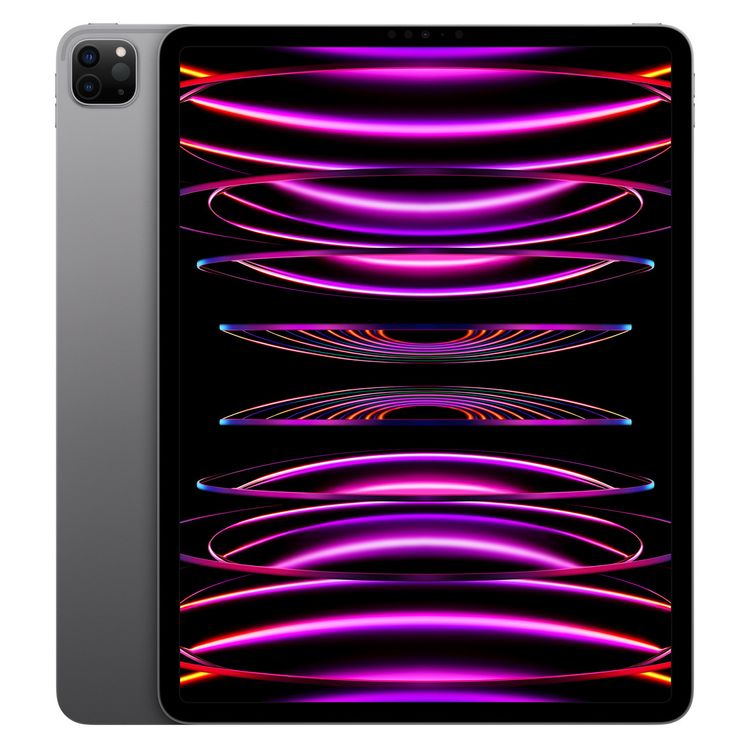 iPad Pro 12.96M2 å 256GB Wi-Fiǥ