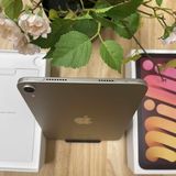 Ʊ iPad Mini A17Pro 256GB 饤 WiFi ǥ ̵