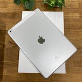 ʡ̤ iPad 9 256Gb С WiFi + Cellular