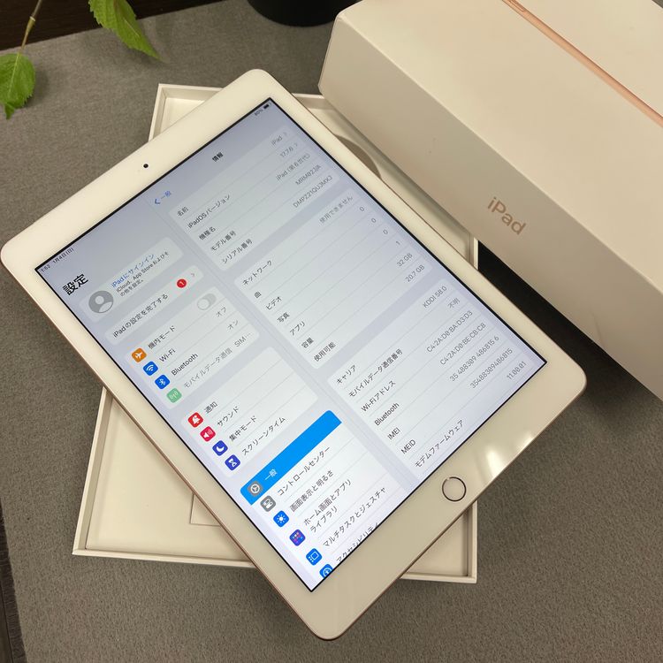 iPad ��6���� 2018 32GB ������� Wi-Fi + Cellular ��ǥ� ����̵��