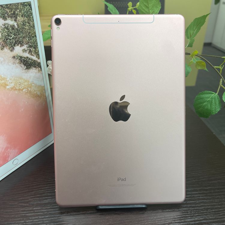 iPad Pro 10.5 64GB Wi-Fi + Cellularǥ SIMե꡼