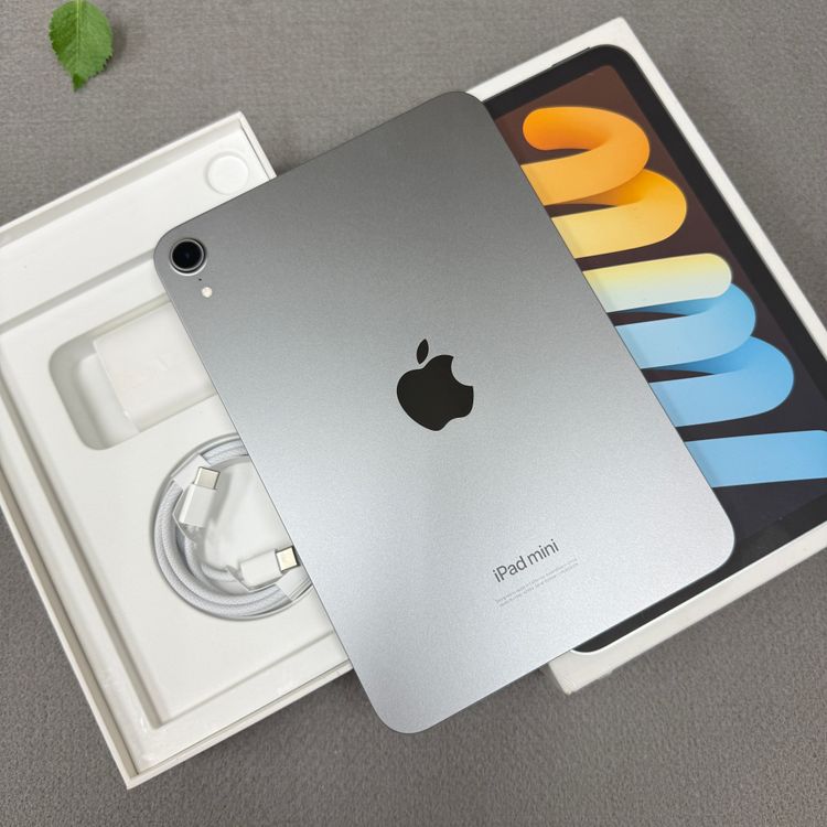 Ʊ iPad Mini A17Pro 128GB ֥å WiFi ǥ ̵