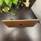 iPad Air 3 64GB  Wi-Fi + Cellularǥ SIMե꡼