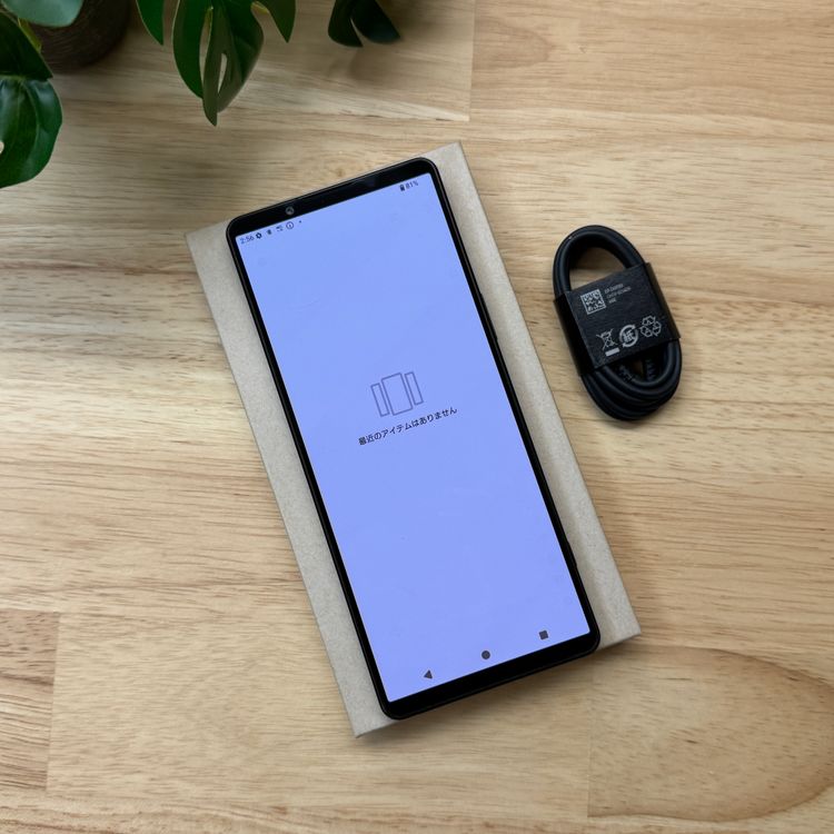 Sony Xperia 1 V SO-51D 256GB �֥�å� ������ SIM�ե꡼����̵��