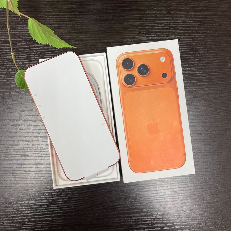 ʡ̤  iPhone17Pro 256GB  SIMե꡼ ̵