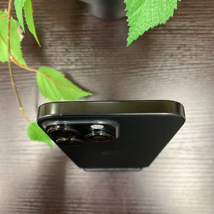 iPhone 16ProMax 256GB ֥å  SIMե꡼ ̵