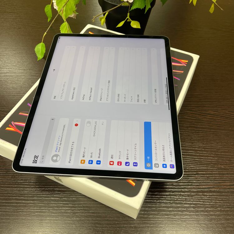 iPad Pro 12.96M2 å 256GB Wi-Fiǥ