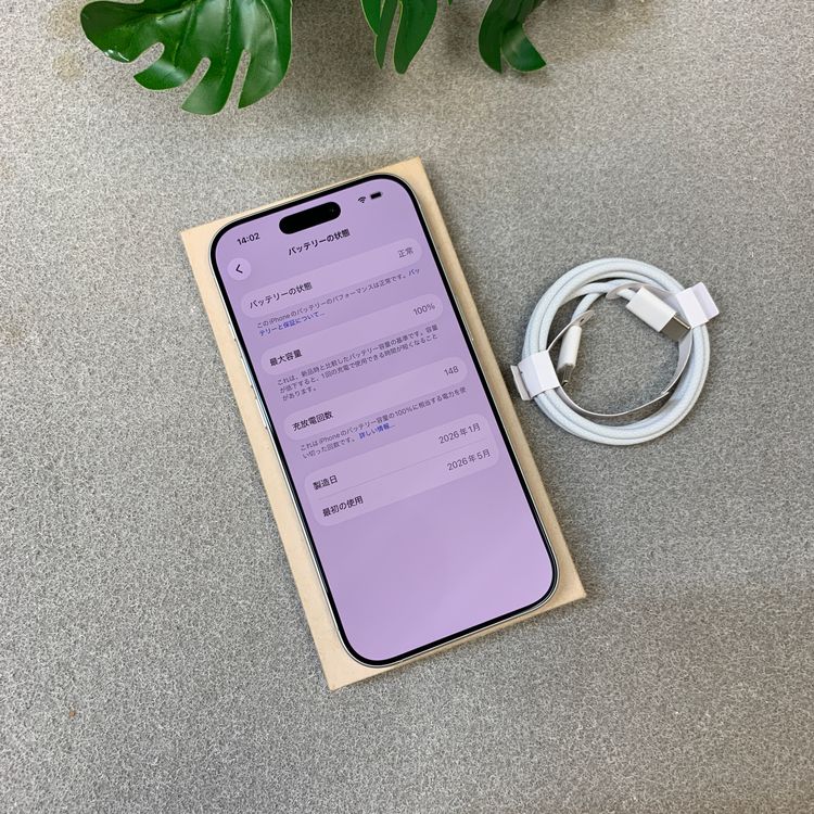 �Хåƥ꡼ 100% iPhone 17 512Gb �ۥ磻�� ������ SIM�ե꡼����̵��