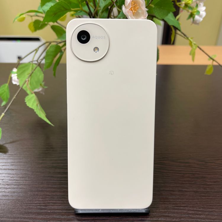 AQUOS Wish4 SH-52E ۥ磻ȹSIMե꡼̵