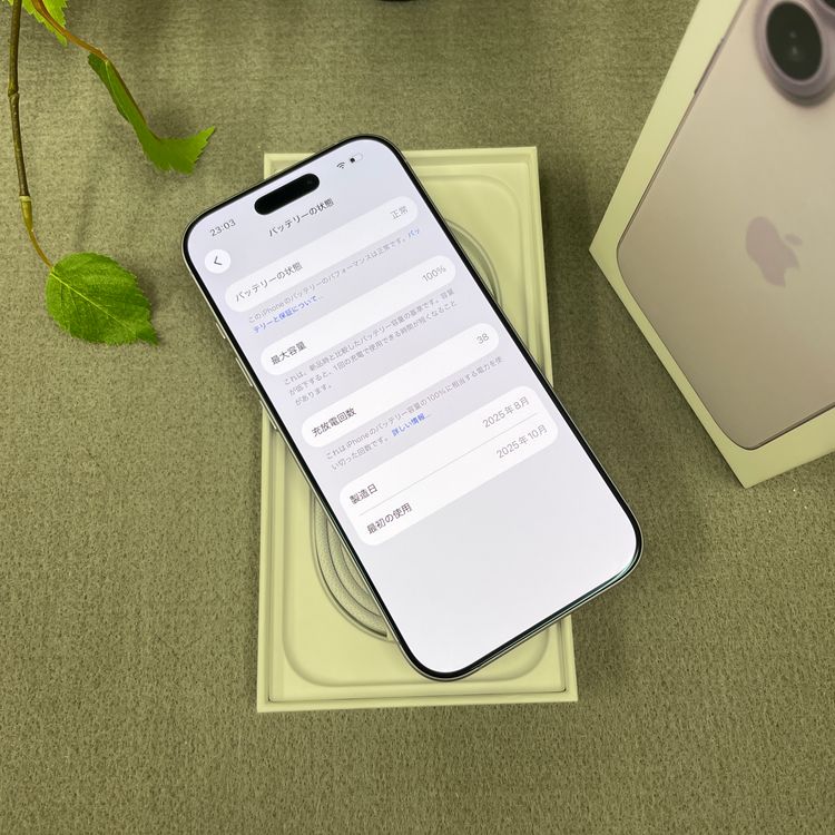 iPhone 17 256GB ٥ Apple SIMե꡼ ̵