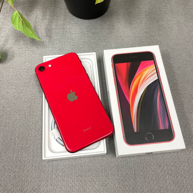 Ʊ iPhone SE(裲)å 64GB  SIMե꡼̵