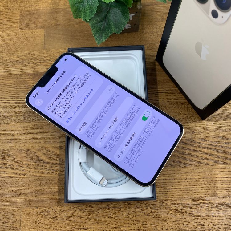 iPhone 13Pro 256GB ������� ����SIM�ե꡼ ����̵��