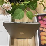 Ʊ iPad Mini A17Pro 256GB 饤 WiFi ǥ ̵