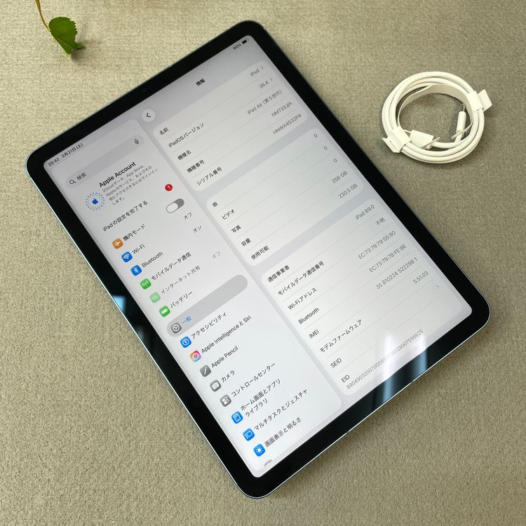 �Хåƥ꡼ 100% iPad Air 5 M1 256GB �֥롼 WiFi + Cellular