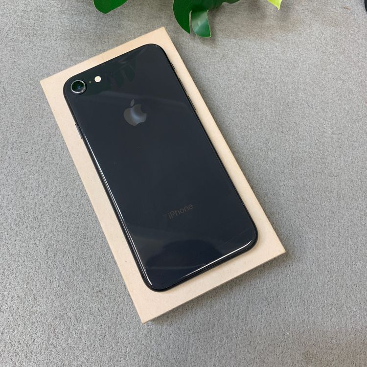 iPhone 8 64GB �֥�å� ������ SIM�ե꡼����̵��