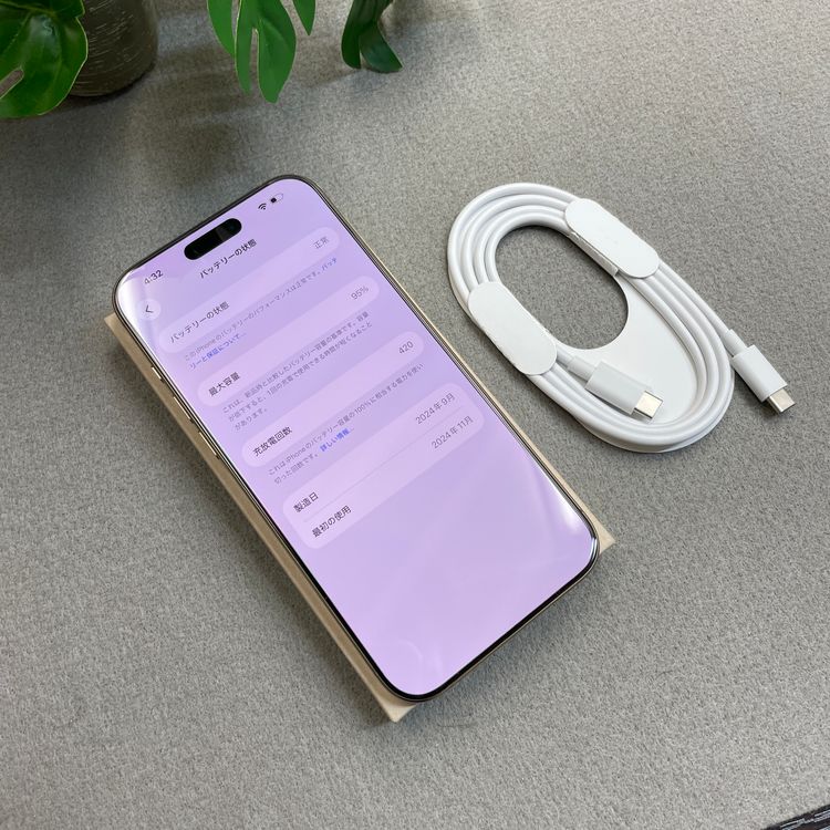 �Хåƥ꡼ 95% iPhone 16ProMax 256Gb �ǥ����� Apple�� SIM�ե꡼