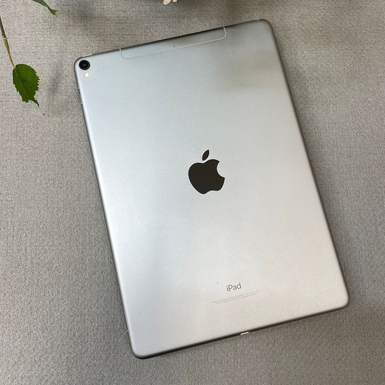 iPad Pro 10.5����� 64GB Wi-Fi + Cellular��ǥ� SIM�ե꡼