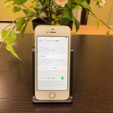 iPhone SE 32GB  SIMե꡼ ̵