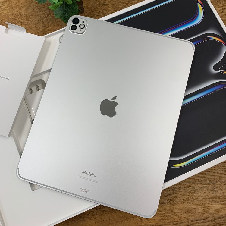 ����Ʊ�� iPad Pro M4 13����� 2TB WiFi + Cellular ����̵��