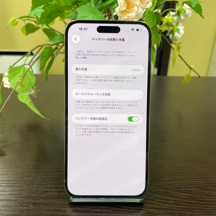 iPhone 14ProMax 256GB  SIMե꡼̵
