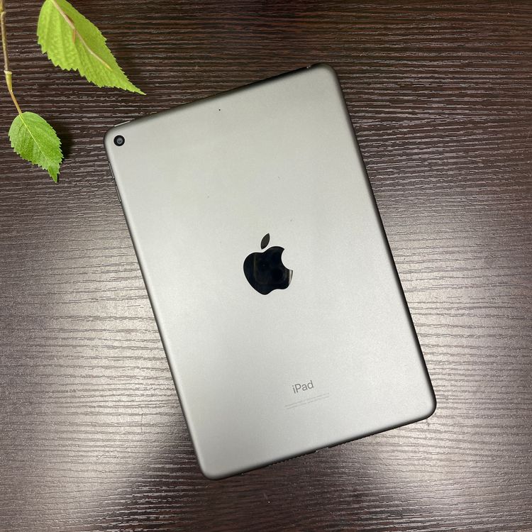iPad mini 5 ڡ쥤 64Gb Wi-Fiǥ ̵