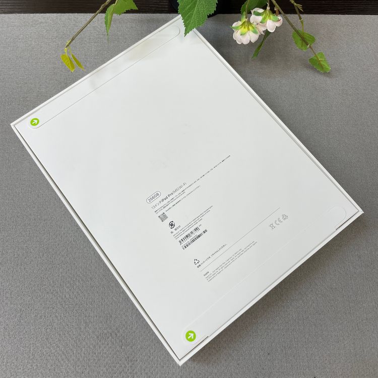 ���ʡ�̤���� iPad Pro M5 13����� 256GB �֥�å� WiFi�� ����̵��
