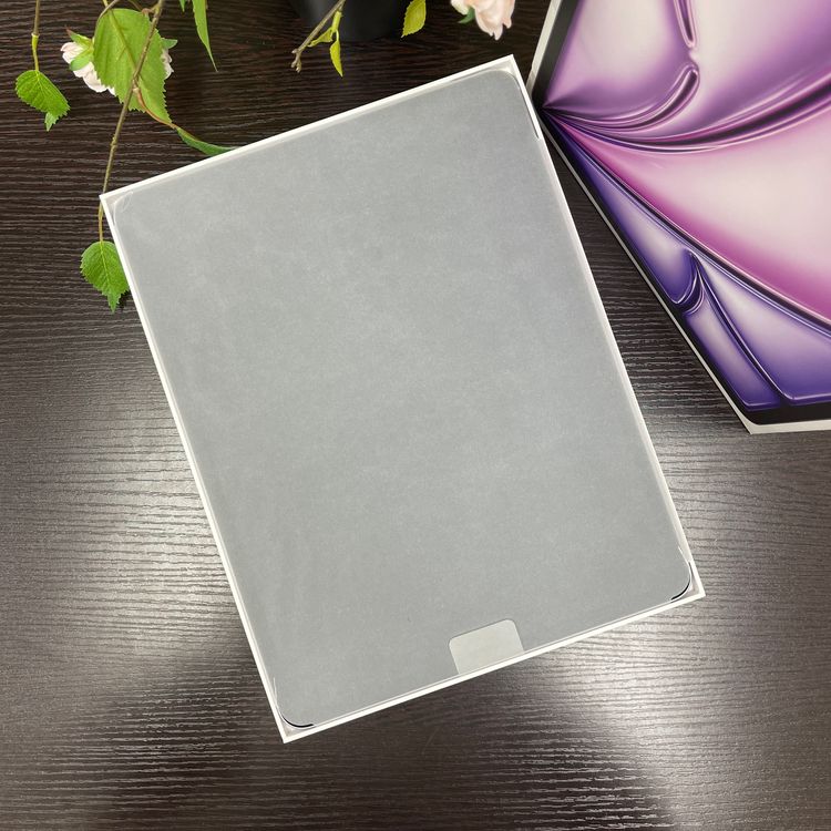 ʡ̤  13iPad AirM2256GB Wi-Fi + Cellularǥ