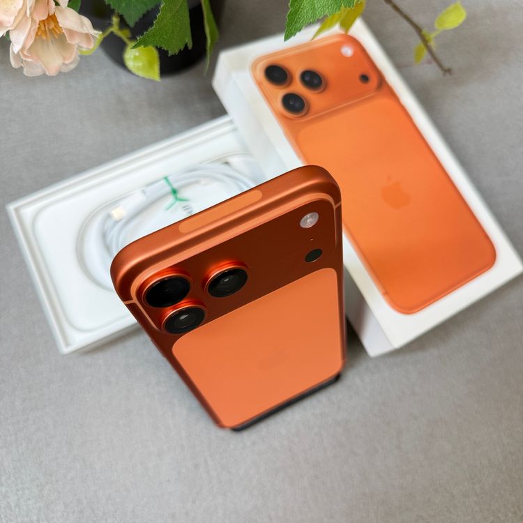 �Хåƥ꡼ 100% iPhone 17ProMax 256GB ����� ������ SIM�ե꡼